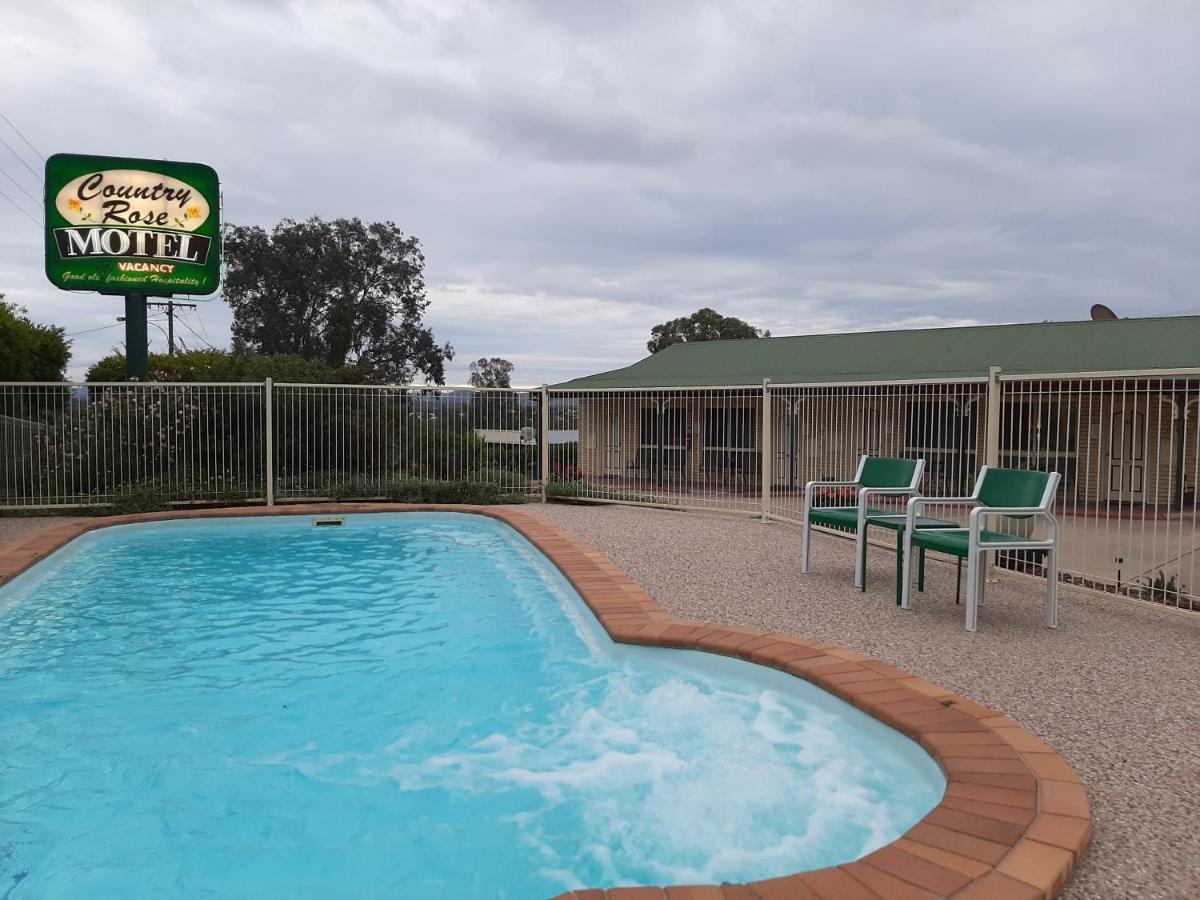 Country Rose Motel Warwick Exterior photo